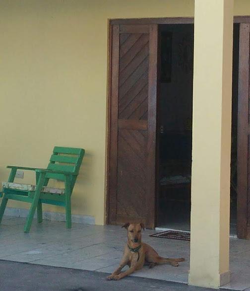 Pôrto das Galinhas Palawan Hostel מראה חיצוני תמונה
